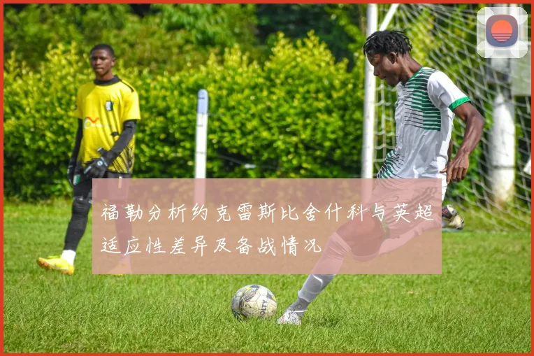福勒分析约克雷斯比舍什科与英超适应性差异及备战情况