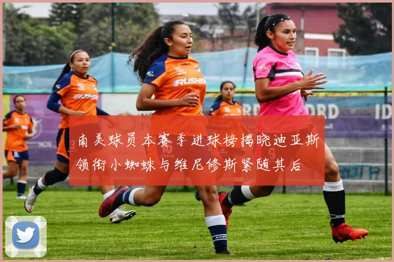 南美球员本赛季进球榜揭晓迪亚斯领衔小蜘蛛与维尼修斯紧随其后